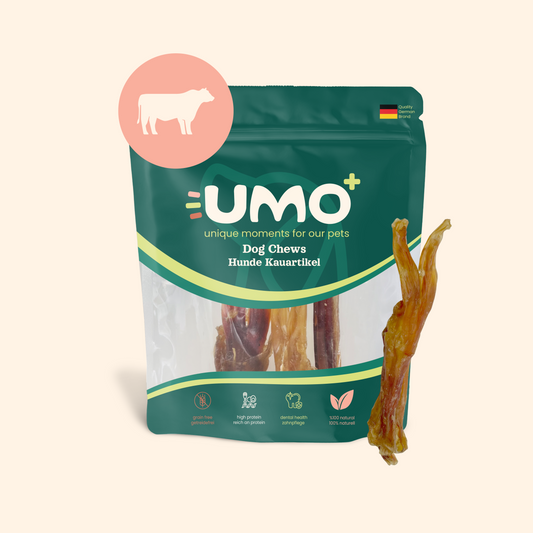 Beef Tendon Chews