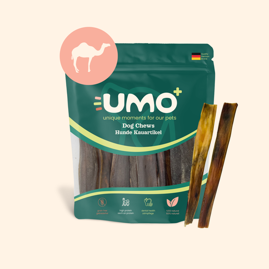 Camel Skin Sticks Chews