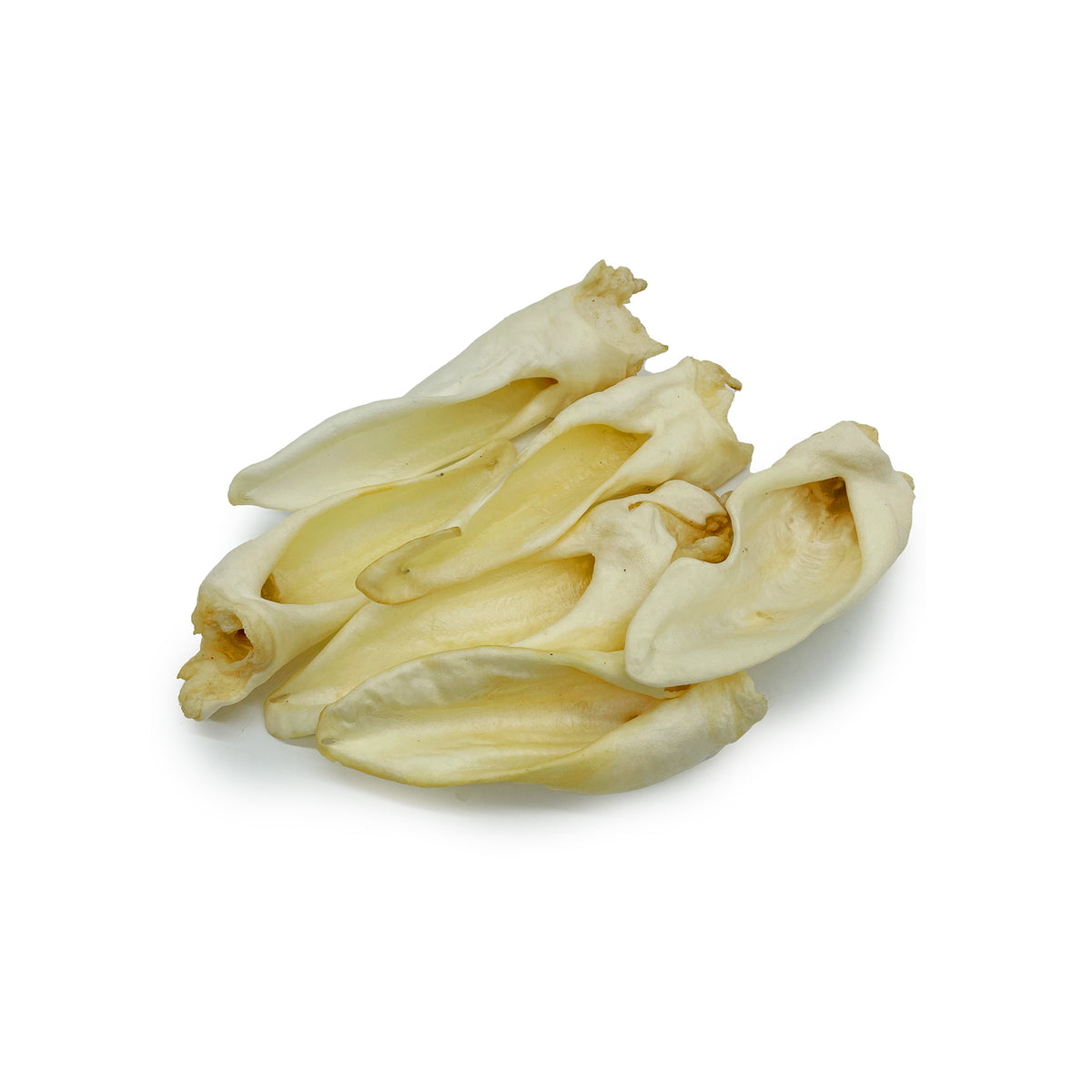 Goat Ear Chews